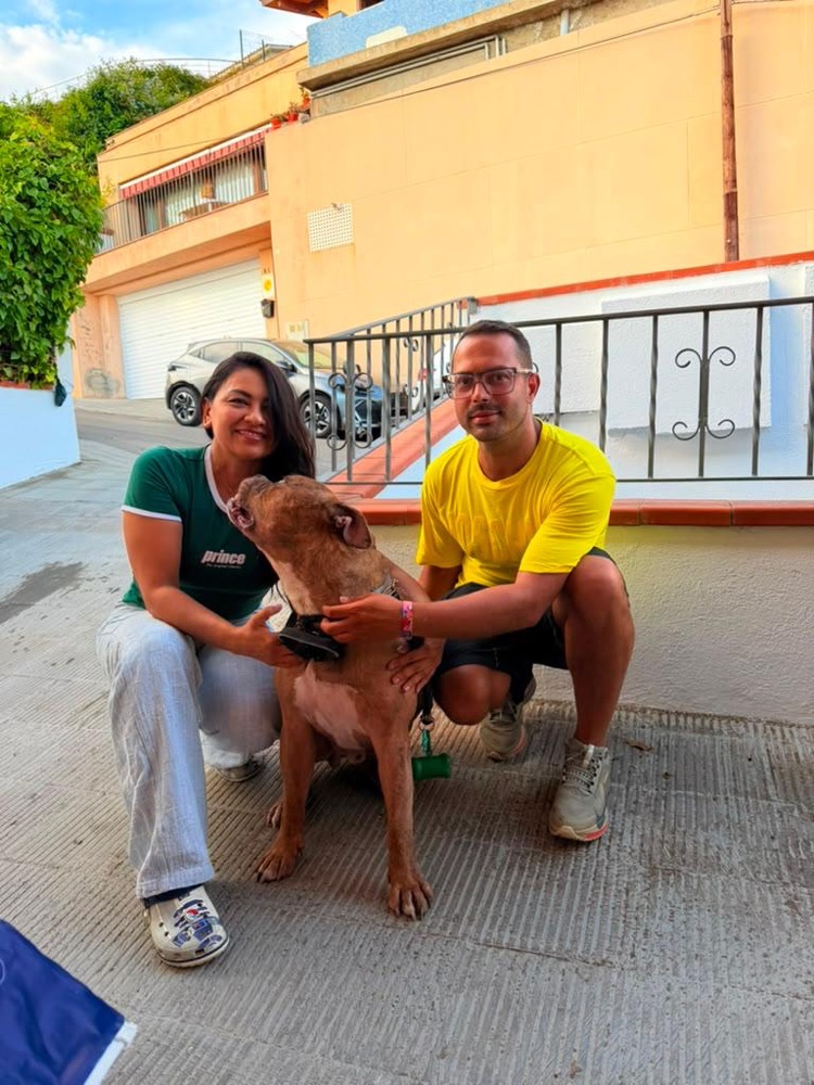 Familias que vuelven felices